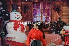 wm_LM_0339