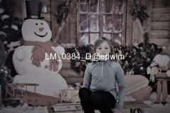 wm_LM_0384