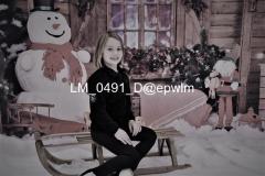 wm_LM_0491