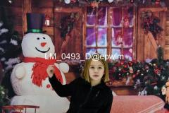 wm_LM_0493