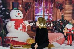 wm_LM_0497