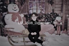 wm_LM_0508