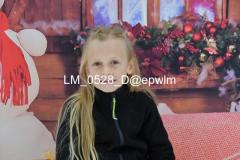 wm_LM_0528