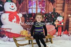 wm_LM_0608
