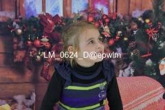 wm_LM_0624