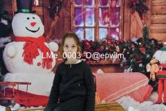 1_wm_LMe_0003