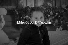 1_wm_LMe_0050