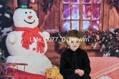 1_wm_LMe_0077