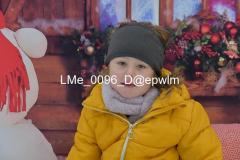 1_wm_LMe_0096