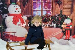 1_wm_LMe_0108