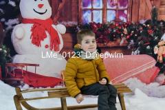1_wm_LMe_0123