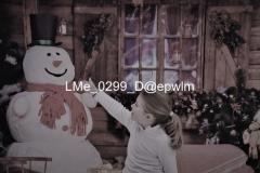 1_wm_LMe_0299