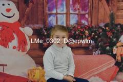 1_wm_LMe_0302