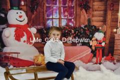 1_wm_LMe_0304