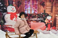 1_wm_LMe_0441