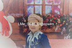 1_wm_LMe_0446