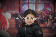 1_wm_LMe_0509