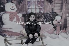 1_wm_LMe_0517