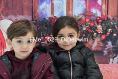 1_wm_LMe_0529