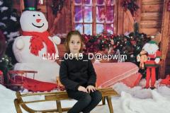 2_wm_LMe_0015