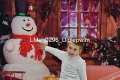 2_wm_LMe_0296