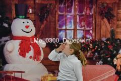 2_wm_LMe_0300