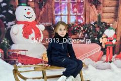2_wm_LMe_0313