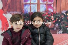 wm_LMe_0528
