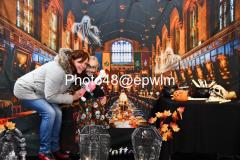 watermarked_EPWLM0049